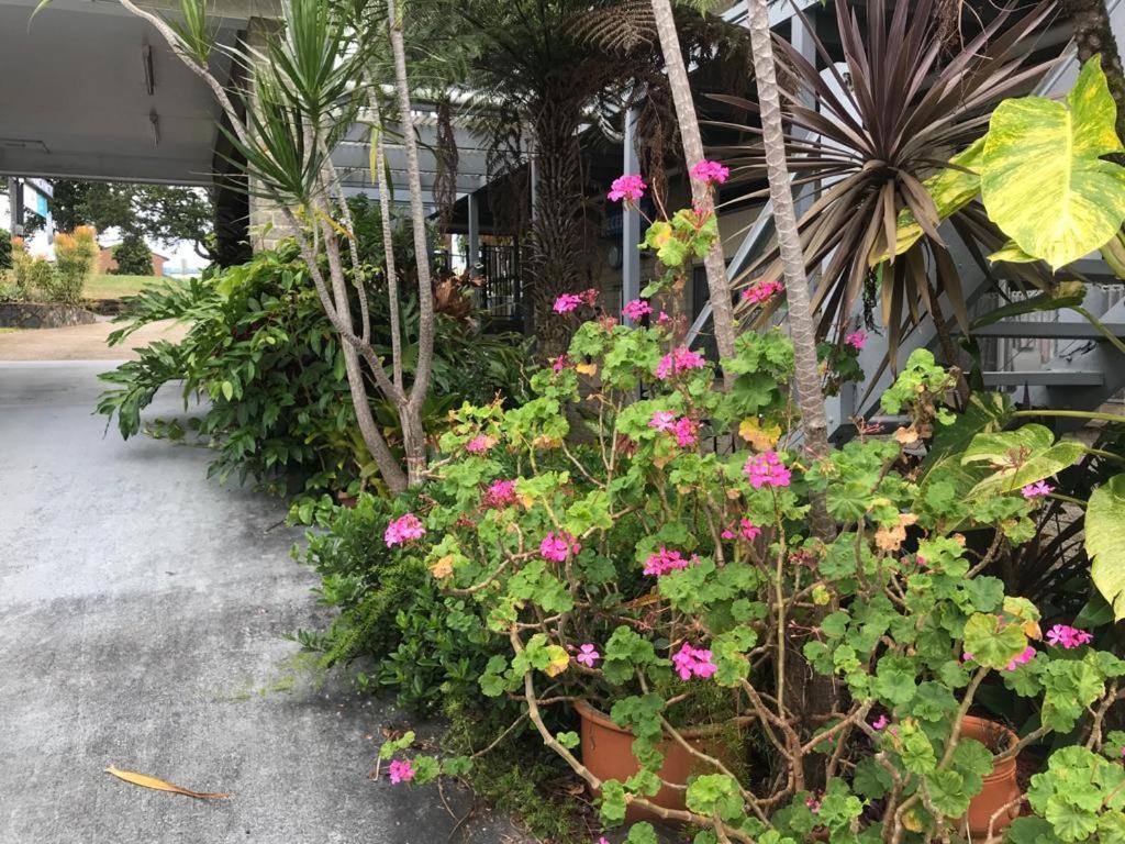 كوفس هاربور Coffs Shearwater Motel المظهر الخارجي الصورة