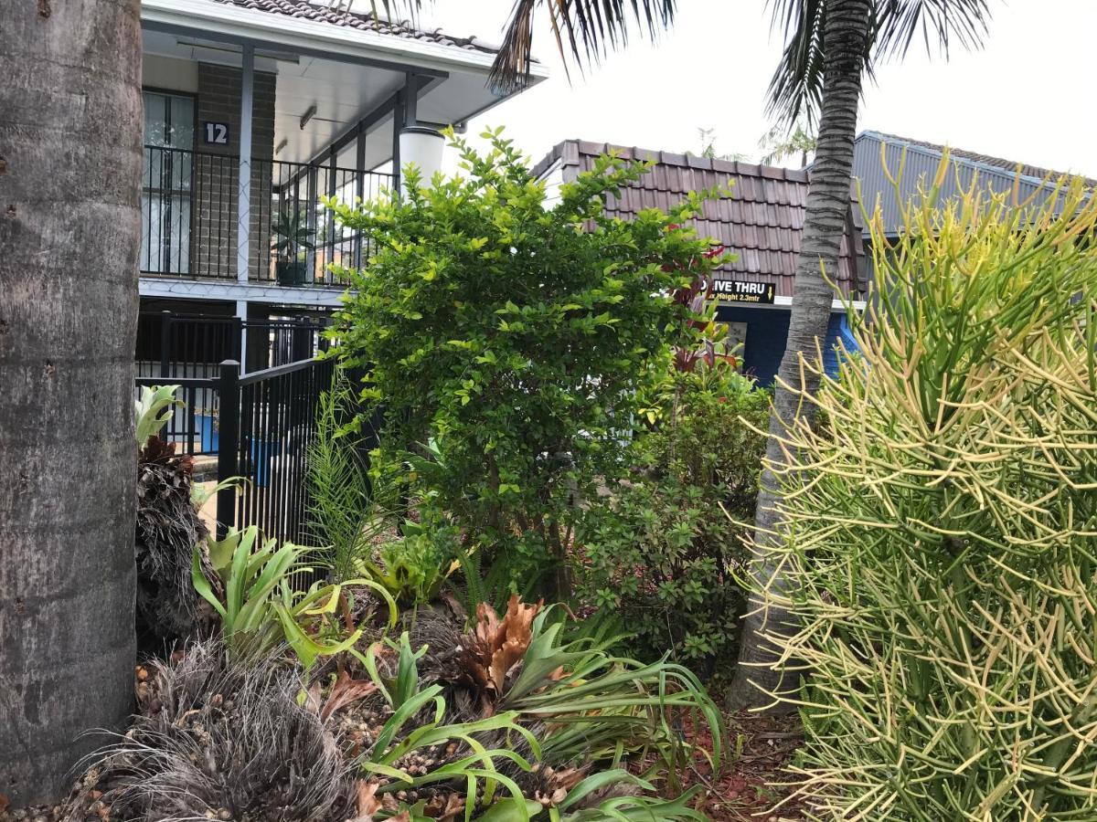 كوفس هاربور Coffs Shearwater Motel المظهر الخارجي الصورة