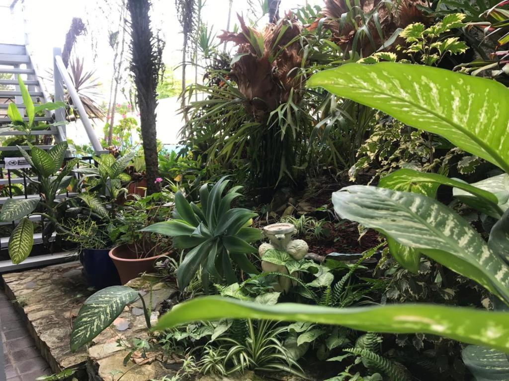 كوفس هاربور Coffs Shearwater Motel المظهر الخارجي الصورة